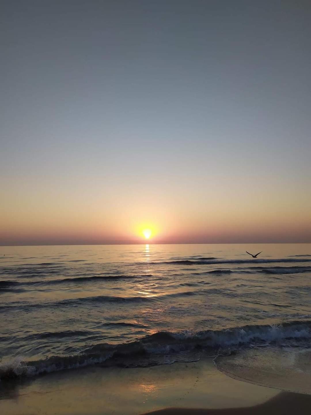 Mare De Deu, Vivienda Vacacional Para Familias Y Mayores De 25 Anos En El Grao De Gandia-Playa Playa de Gandia Bagian luar foto
